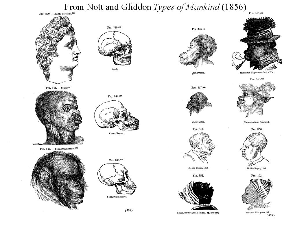 Types of Mankind